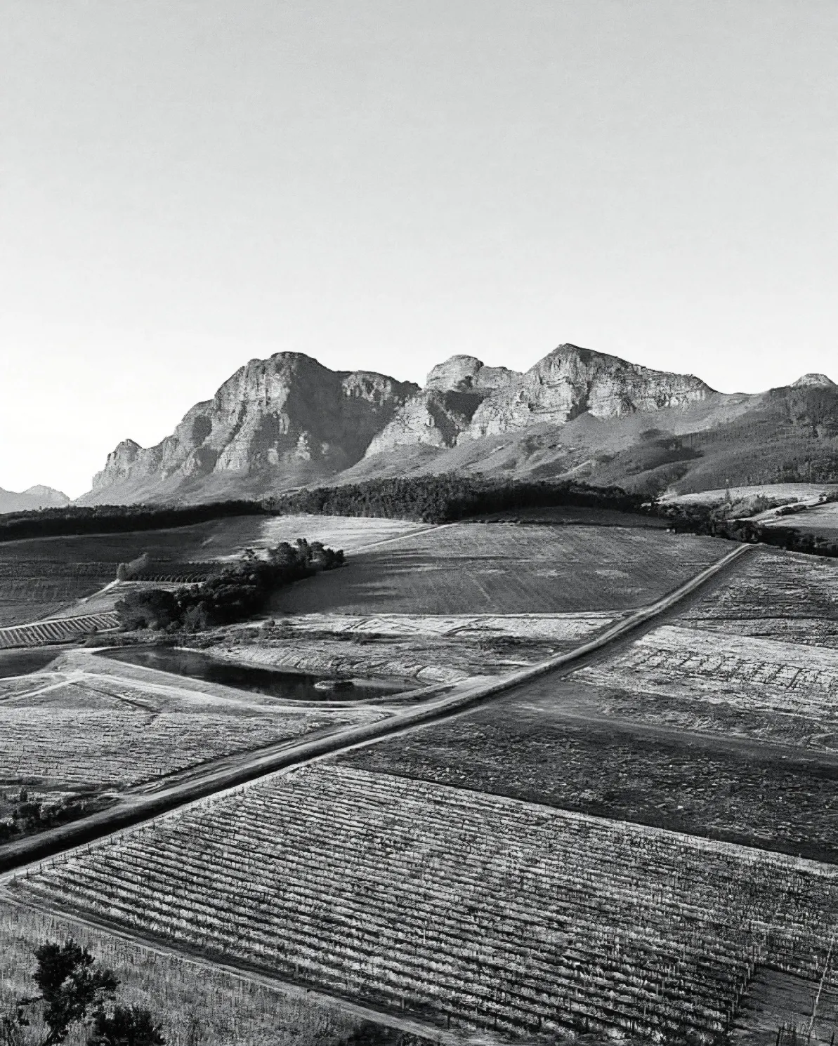 Vineyards spread across hills beneath a mountain ridge